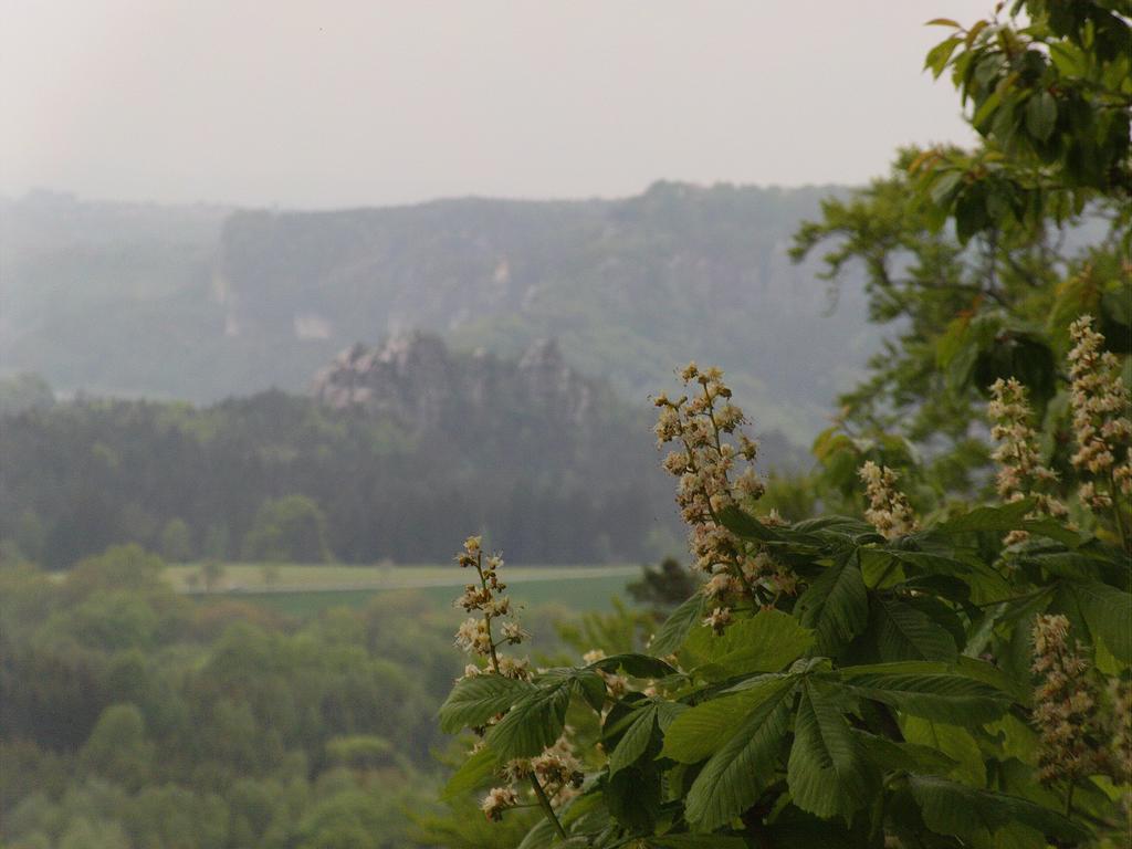 Guerth Kleinhennersdorf