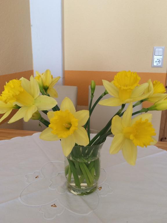 Gürth Apartment *